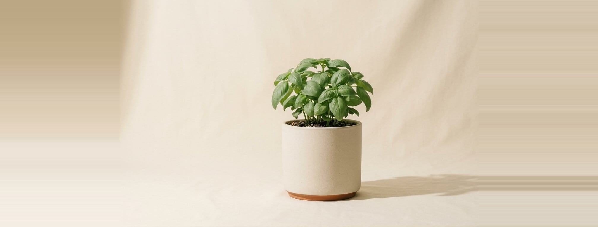 Garden herb planter